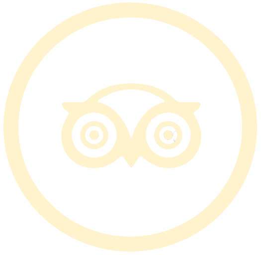 tripadvisor